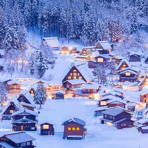 岁月静好，现世安稳