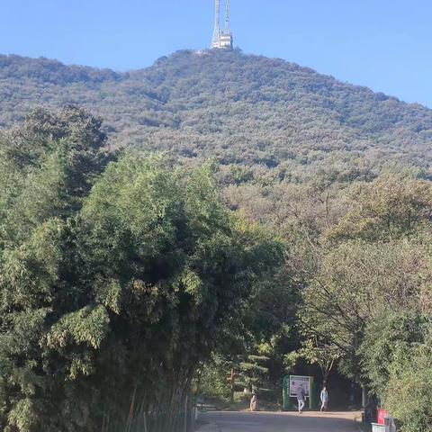 人生像登山，虽险吾往也