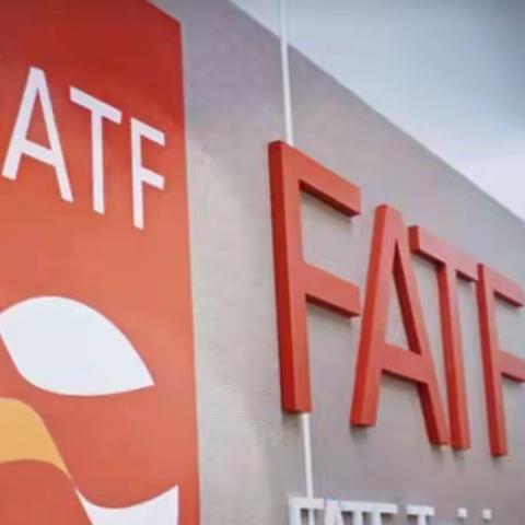 国海证券太原营业部                       反洗钱宣传(一)FATF互评估