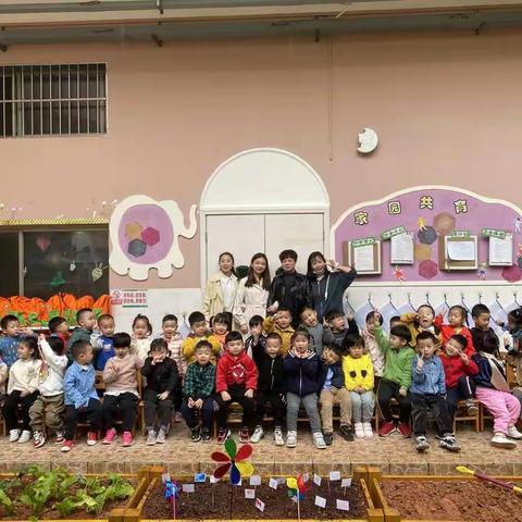 播种金色秋天——记芦淞幼稚园136班种菜活动