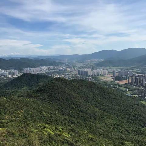 市计生中心深入学习贯彻党的十九大精神