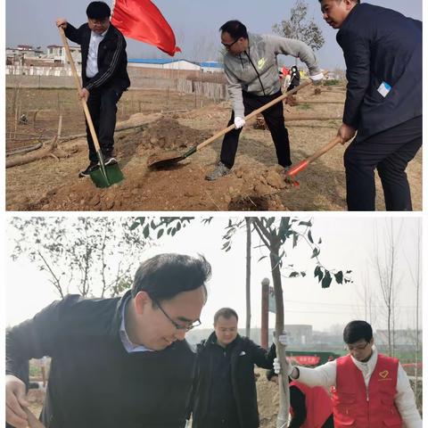 植树添新绿 不负好春光——平原镇组织开展春季义务植树活动