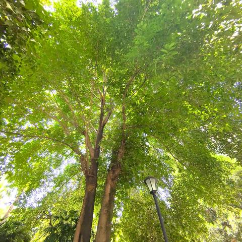 父爱如山海，永向爱奔赴