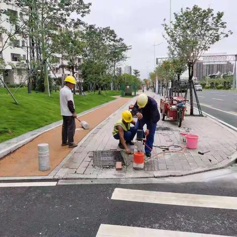 【区住房建设和交通局】G105国道品质提升工作简报