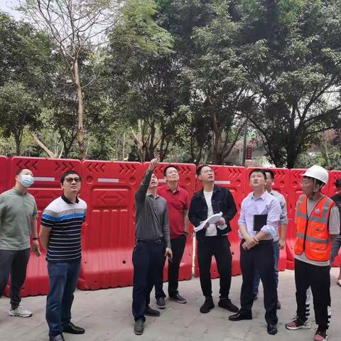【区住房建设和交通局】G105国道品质提升工作简报