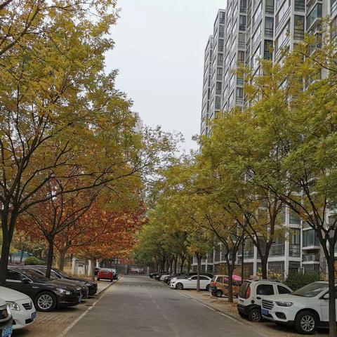 金秋时节，醉美秋景