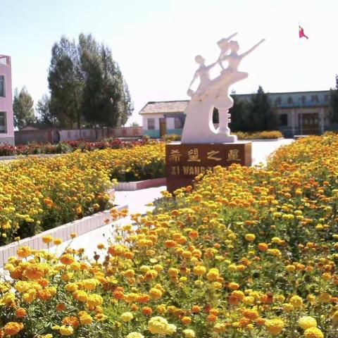 我与祖国共成长，争做新时代好队——安阳乡苗家堡小学2020年庆祝”六·一”国际儿童节暨滨河集团爱心捐助仪式侧记