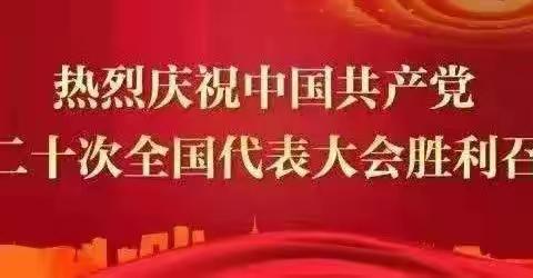 新时代•新征程——展览路小学党支部观看中国共产党第二十次全国代表大会