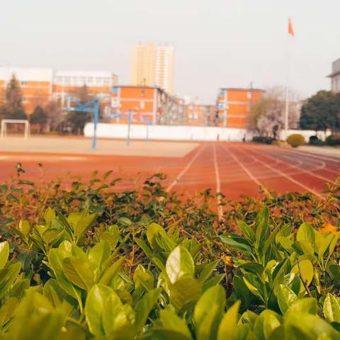 我的战疫课堂笔记7（教师篇）——三门峡市育才中学 黄少华