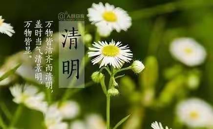 春雨微凉，共话清明——奎文区卧龙学校清明节系列活动一览