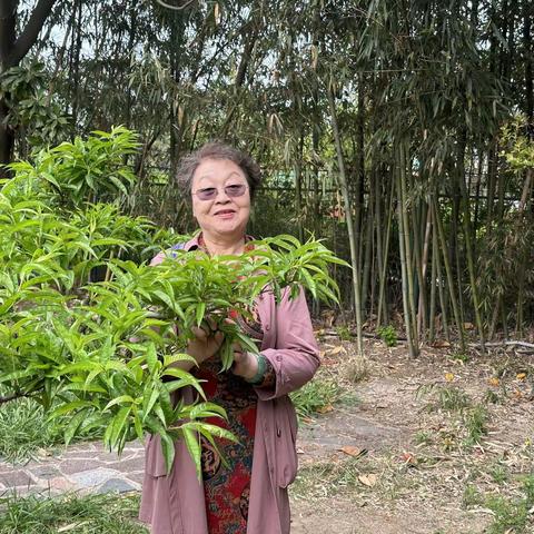 2024.4月19至21日山东三日游