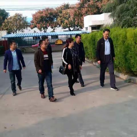市普查办莅临高陵区检查指导工作