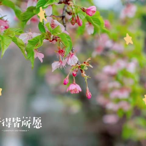 芊芊词社十三期一剪梅（二）