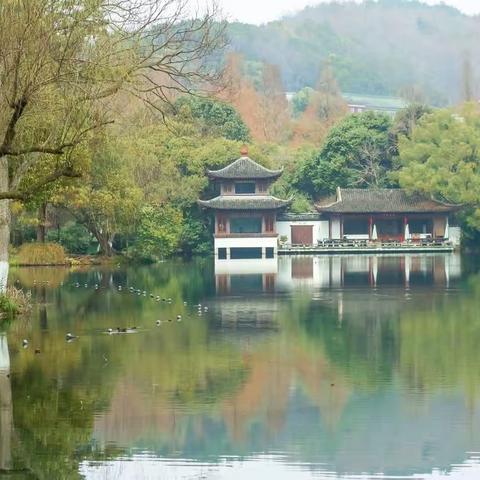 钱塘诗社每月一课2024（二月）