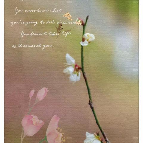 钱塘诗社每月一课2024（三月）