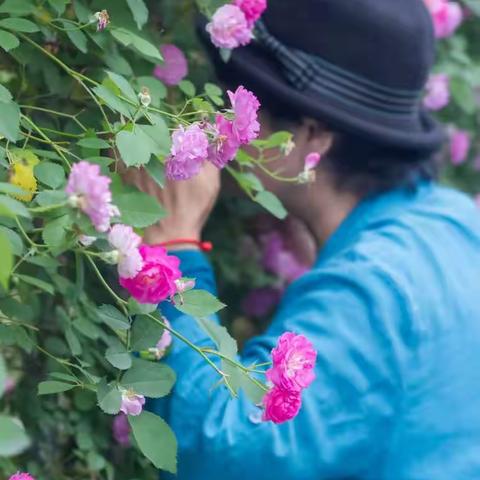 【初夏风情·征稿】