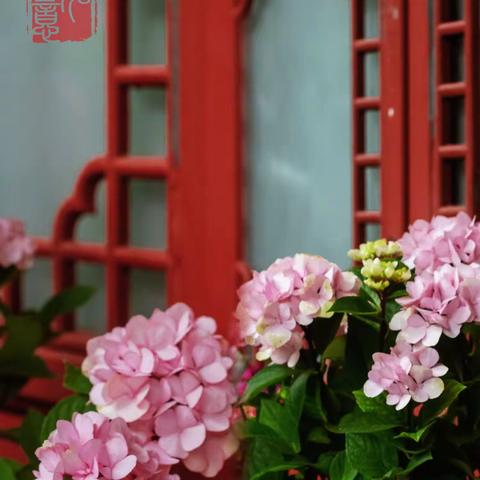 钱塘诗社每月一课2024（五月）