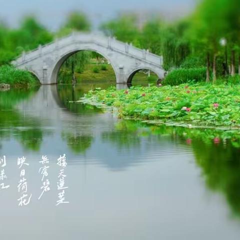 钱塘诗社每月一课之端午专题