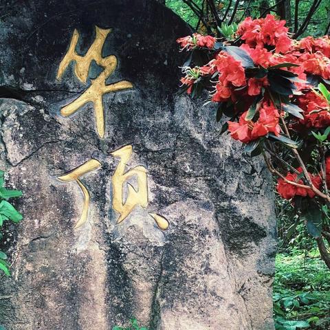 天台山景区二日掠影