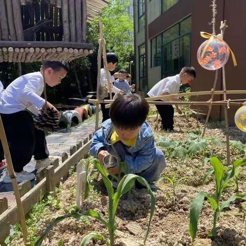 华舍双周幼儿园2022学年小班新生现场报名工作通知