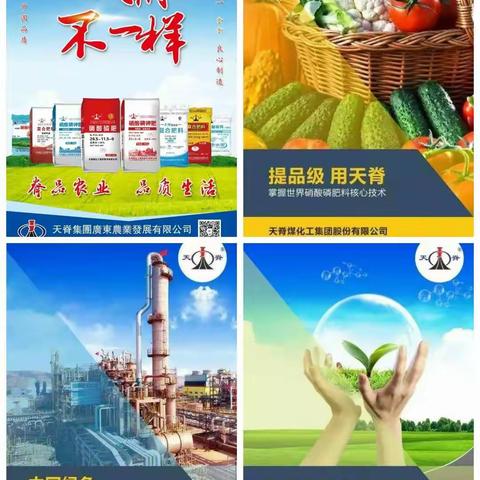 良心制造   品质天脊
