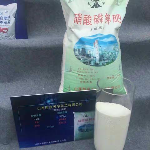 河南电视台九套直播