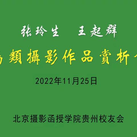 《张玲生  王起群》鸟类摄影作品赏析