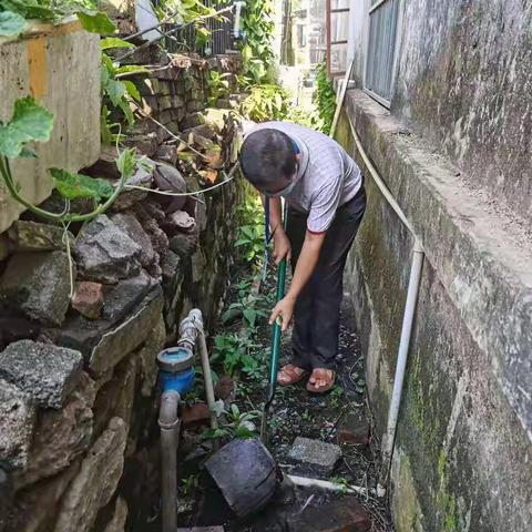 八一居深入开展病媒生物防制工作