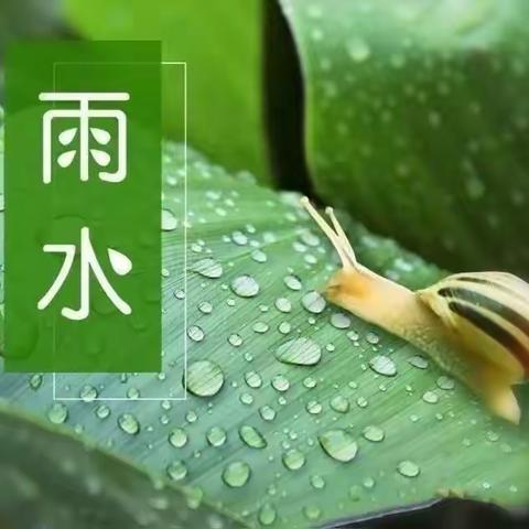 春意萌动 · “雨”你相遇--智慧星幼儿园“雨水”节气主题活动