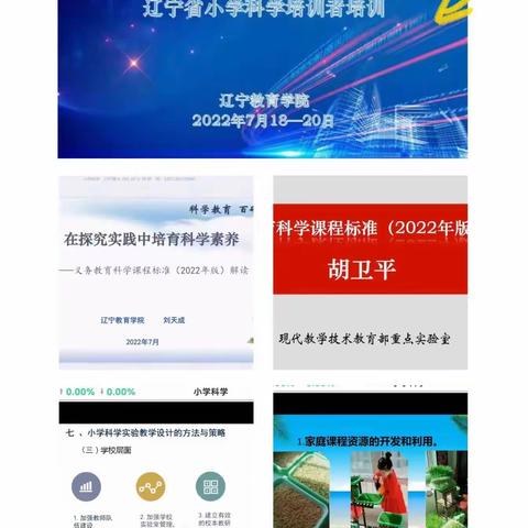 研读课程标准 引领课堂改革 ——溪湖区教研团队赵丹老师在《辽宁省2022版科学新课标培训》宣讲小记