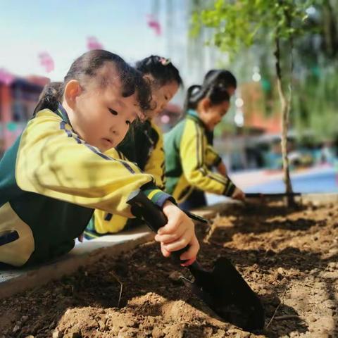 关爱学生、幸福成长·种植篇——中华桥小学附属幼儿园