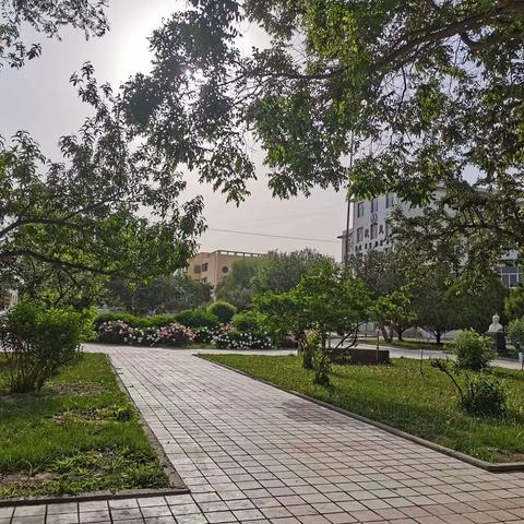 梁家墩镇中心学校2022年庆“六一”国际儿童节活动纪实