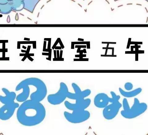 荀子实验第四小学五年级疯狂实验室社团招生