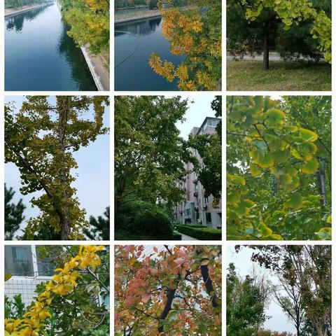 琨玉河畔之秋色