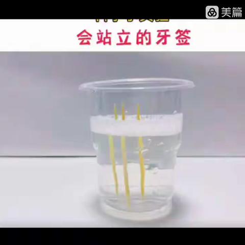 【“童”抗疫，“趣”宅家】3⃣️——青州二中附属幼儿园泡泡班居家活动