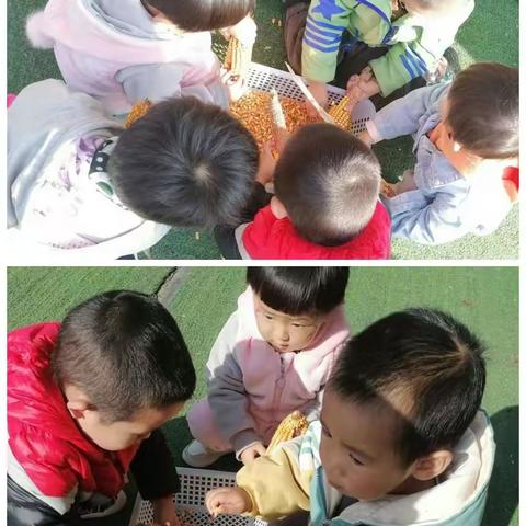 金秋十月，欢乐共享