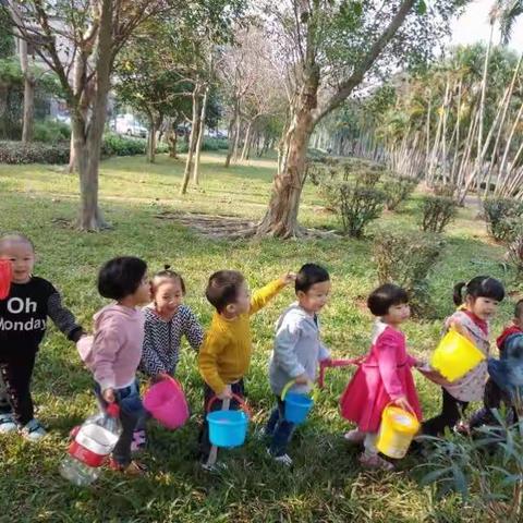 【树童华盛新城幼儿园】小B班——“我为小树浇浇水”植树节护绿活动