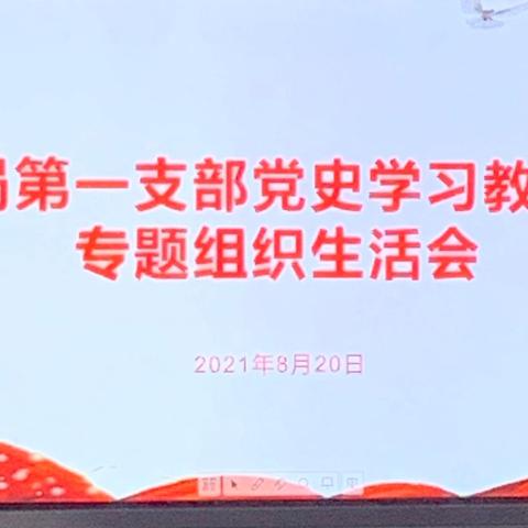 中共菏泽市定陶区教育和体育局第一党支部党史学习教育专题组织生活会