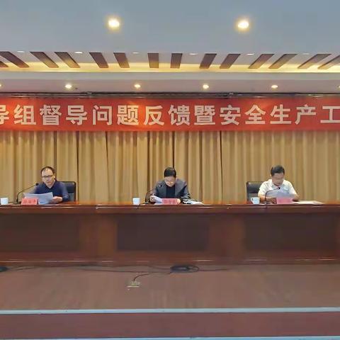 市安全生产督导组问题反馈通报会暨全区安全生产工作推进会召开