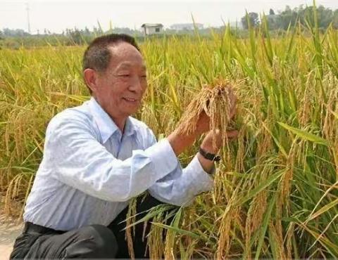 “一尺素纸表敬意，继承精神兴中华”——延职附小二年级五班深切缅怀袁隆平院士