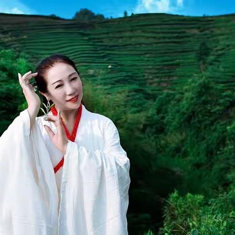 从来佳茗似佳人