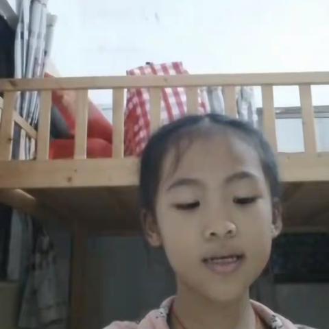 三三班阅读简报