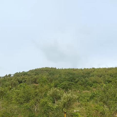 即使你拥有人人羡慕的容貌、博览群书的才学、挥霍不尽的财富，也不能证明你的强大，因为心的强大，才是真正的强。