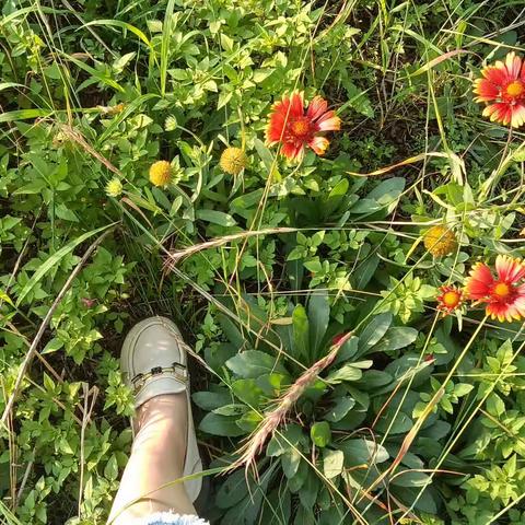 捕捉到了清晨的更美