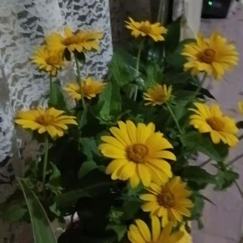 人生苦短，要记得好好爱自己！