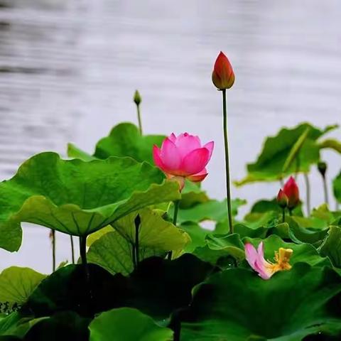 六月九号的清晨