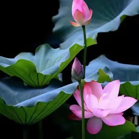 岁月沉淀后的心境，是时光和自我较量后的馈赠。