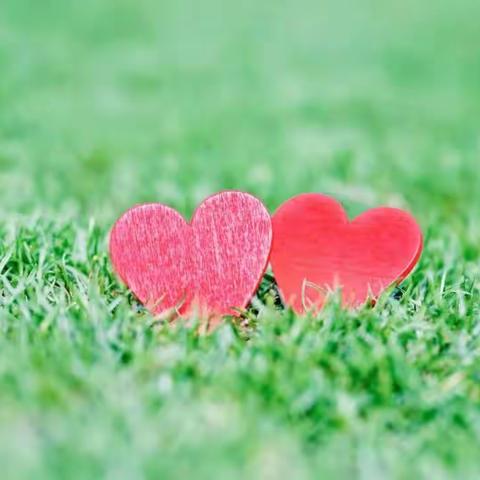 愈合不了的伤痛