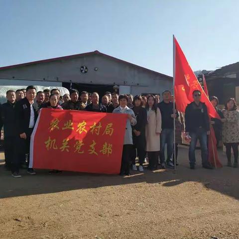 县农业农村局组织参观民合食用菌合作社食用菌生产基地