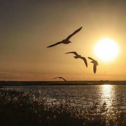 居延海早晨